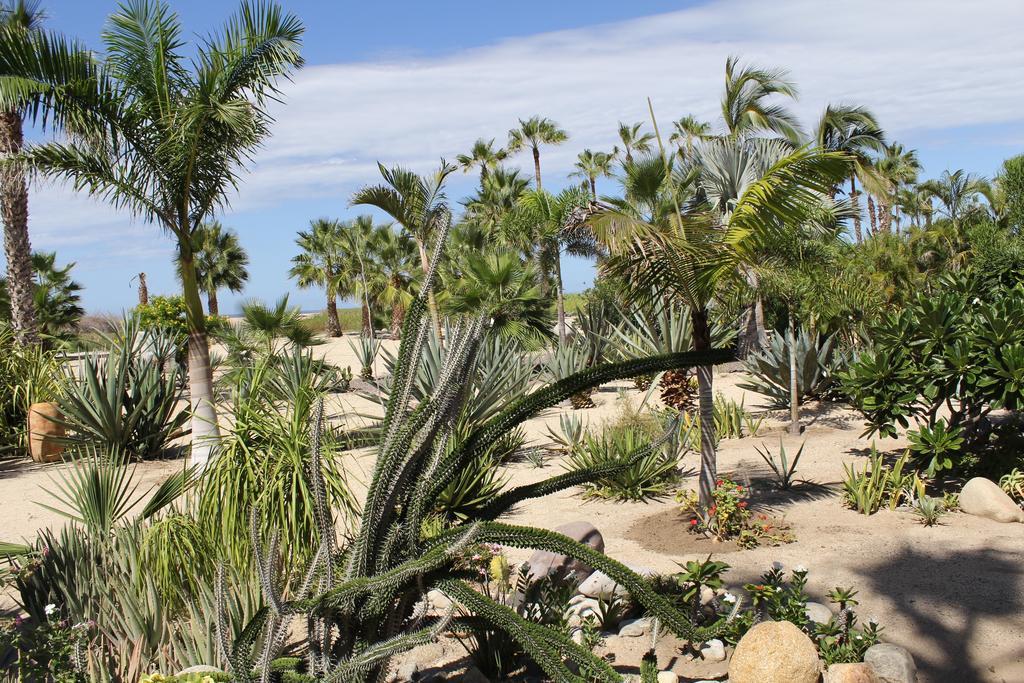 Hotel Posada La Poza Todos Santos Eksteriør bilde