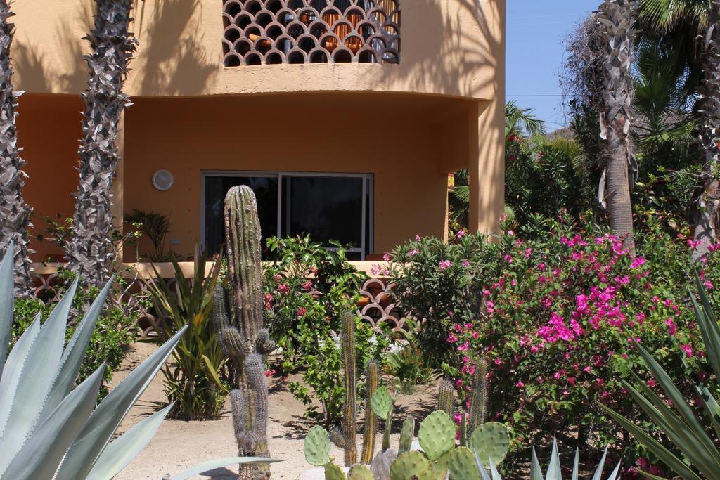 Hotel Posada La Poza Todos Santos Rom bilde