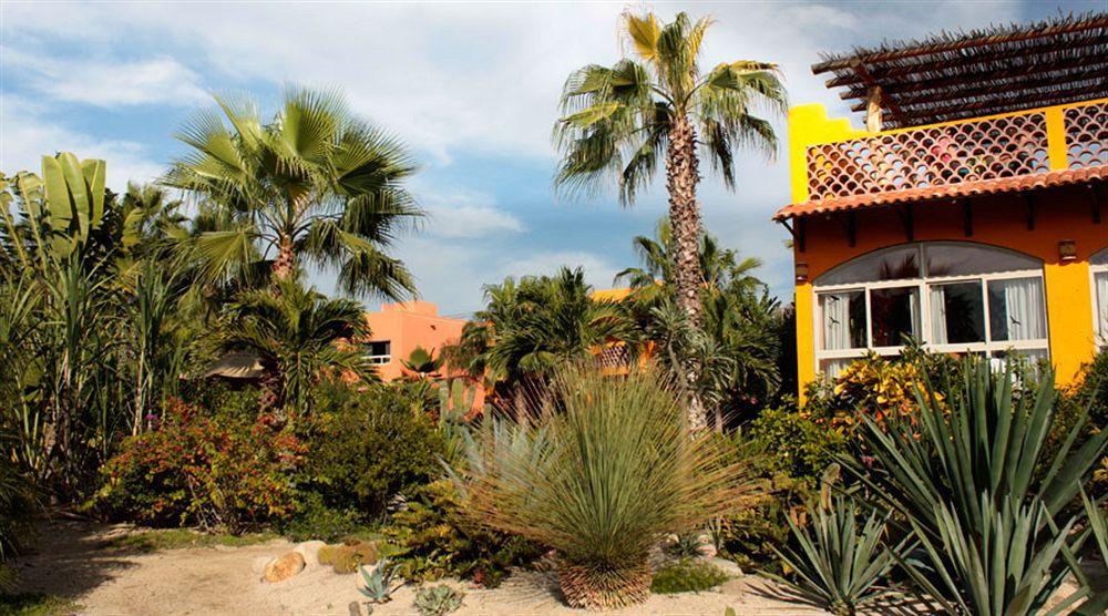 Hotel Posada La Poza Todos Santos Eksteriør bilde