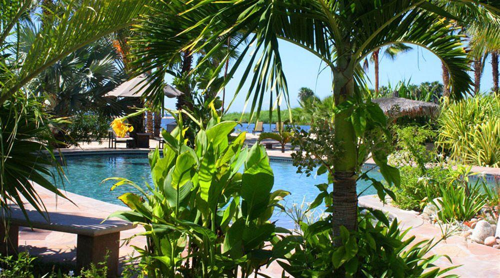 Hotel Posada La Poza Todos Santos Eksteriør bilde