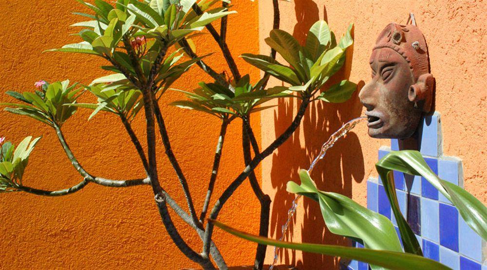 Hotel Posada La Poza Todos Santos Eksteriør bilde